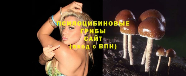 mix Алексеевка