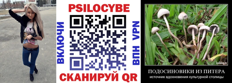 как найти закладки  Якутск  Галлюциногенные грибы MAGIC MUSHROOMS 